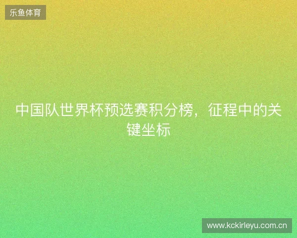 中国队世界杯预选赛积分榜，征程中的关键坐标