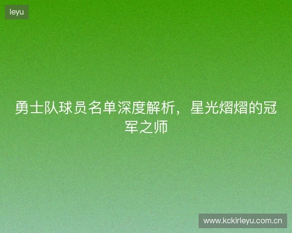 勇士队球员名单深度解析，星光熠熠的冠军之师