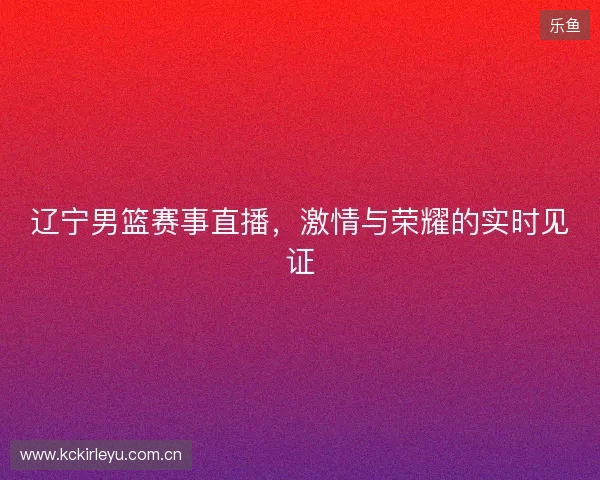 辽宁男篮赛事直播，激情与荣耀的实时见证
